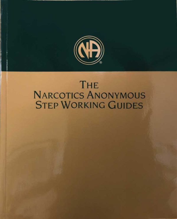 NA Step Working Guide - Image 2